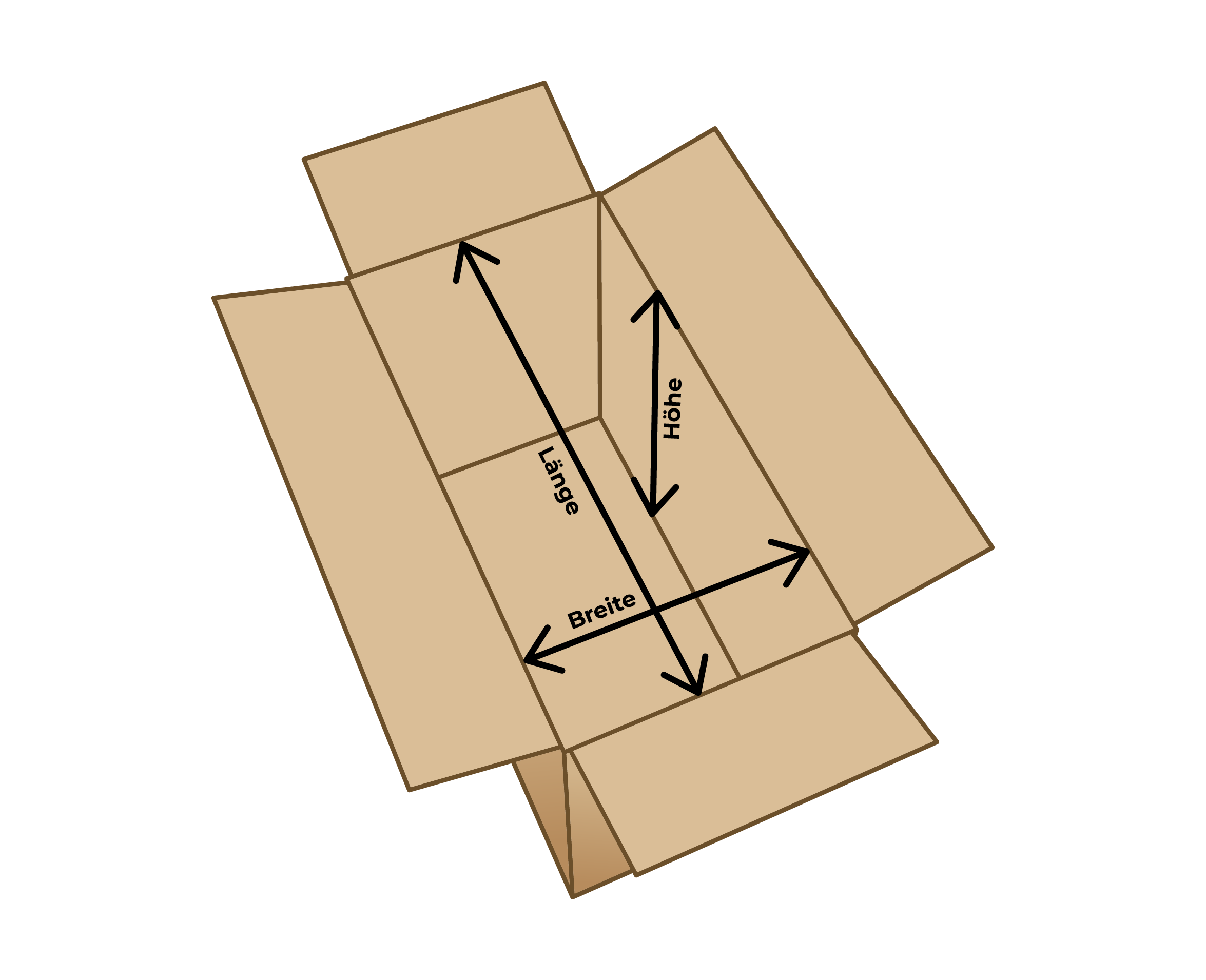 box model