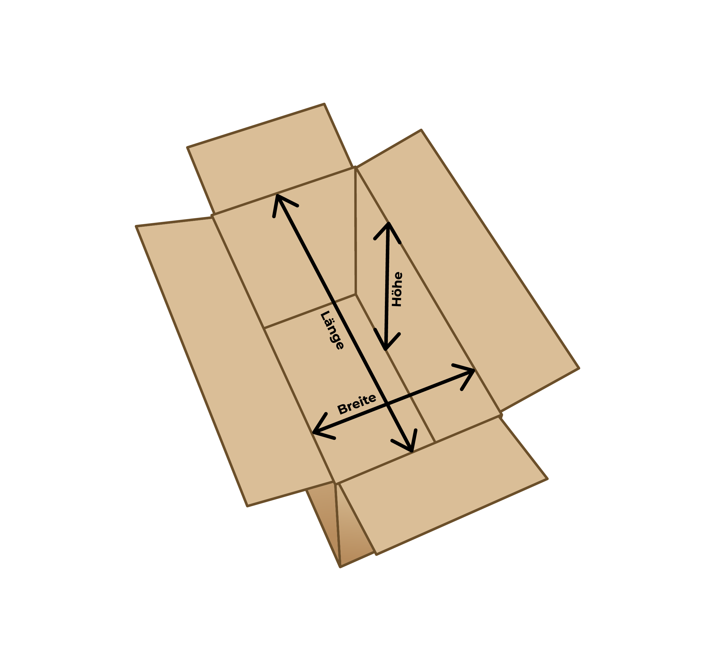 box model